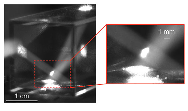 Rubidium 3D MOT demonstration