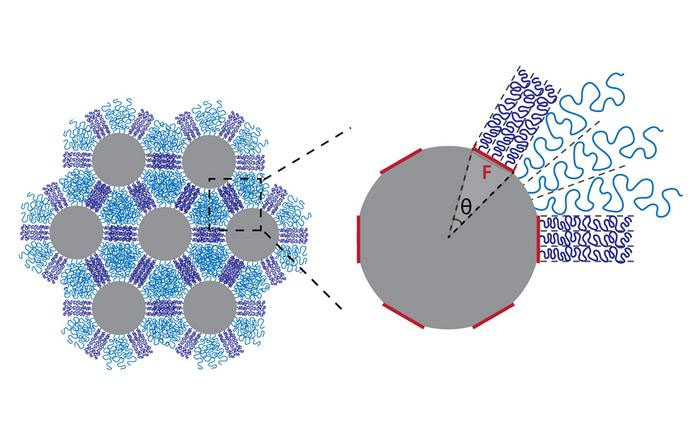 Silica nanoparticles affixed with a distribution of polystyrene chains (purple) self-assemble into hexagonal lattices. Depending on how the chains are organized on the particle surface, they tangle together (purple) or unravel (blue) when compressed