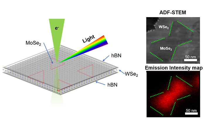Molybdenum diselenide nanodots
