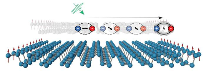 schematic of the photoexcited dipole dynamics in phosphorene nanoribbons, where following photoexcitation the excited state relaxes to the ribbon edge