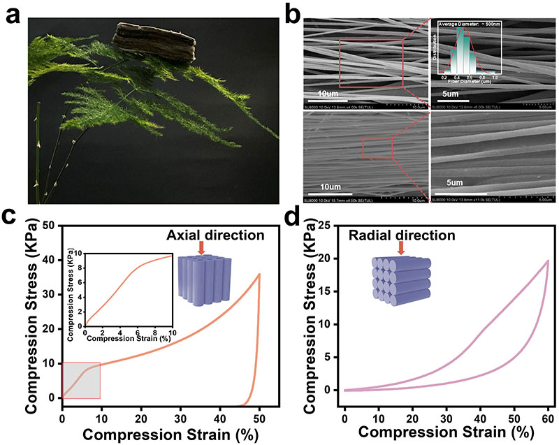 Lightweight and compression properties of highly oriented SiC@SiO2 nanofiber aerogel