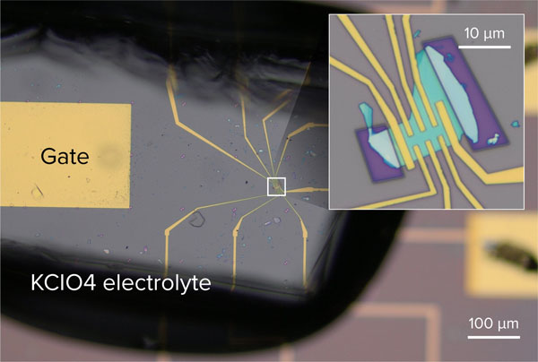 A photograph of the field-effect transistor