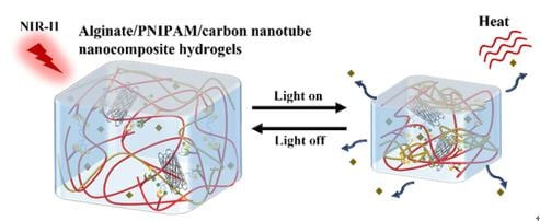 NIR-II light is used to trigger the drug release from the gel network