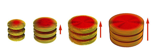 Increasing the size of the magnetic field (red horizontal arrows) applied to rod-like viruses during self-assembly produces thicker, larger disks