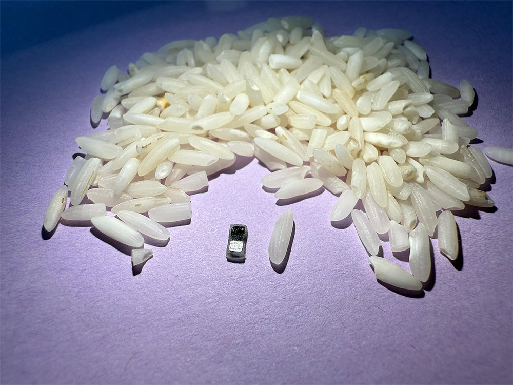New tiny pacemaker sits next to rice for scale