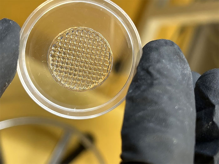 3D-printed structure made of optimised hydrogel