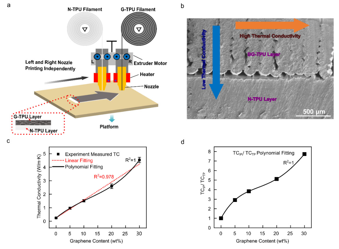 FDM 3D-printed G-TPU/N-TPU double-layer structure and its anisotropic thermal conductivity ratio