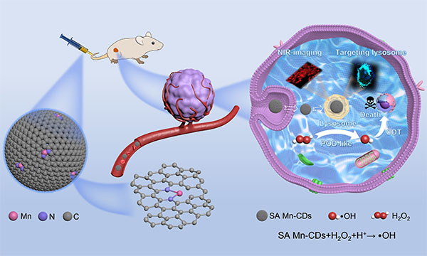 Schematic diagram of efficient tumor catalytic therapy mediated by SA Mn-CDs with near-infrared fluorescence imaging