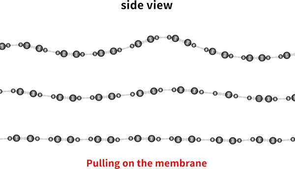 Illustration of the accordion effect in graphene