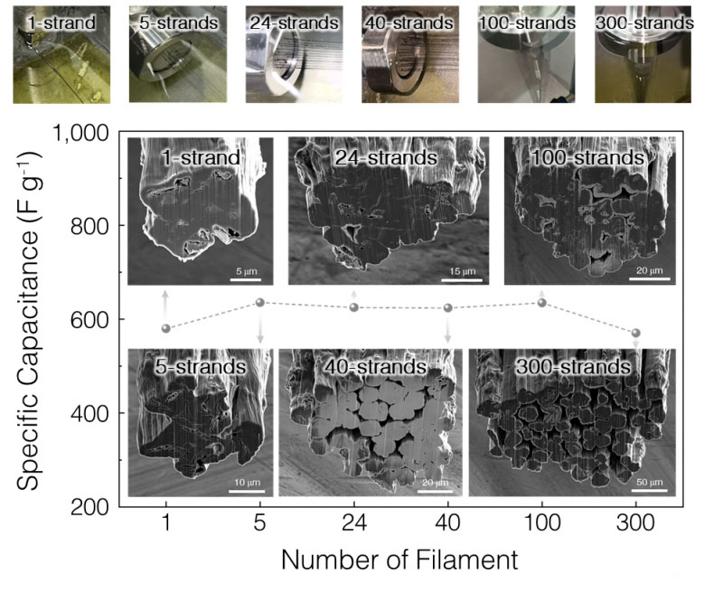 Fiber bundles ranging from one-stranded fibers to 300-stranded fibers