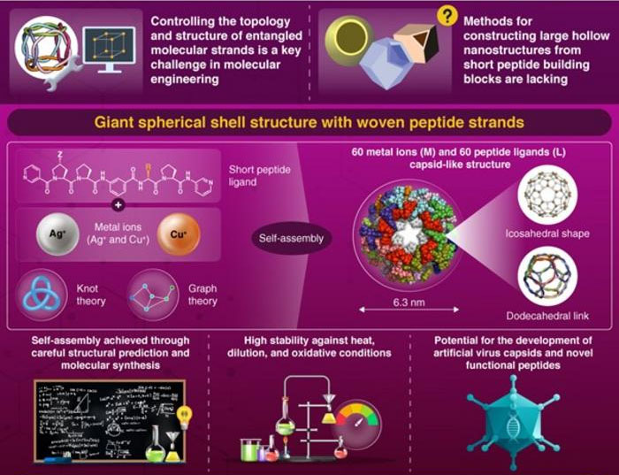 Researchers developed a large dodecahedral structure through the self-assembly of metal ions and peptides