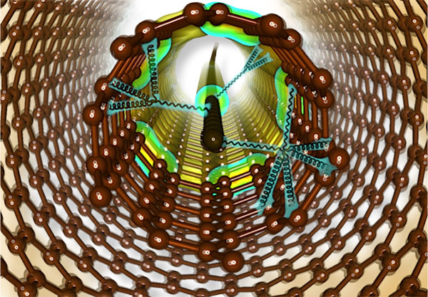 Schematic representation of carbyne stabilized inside small diameter double walled carbon nanotubes