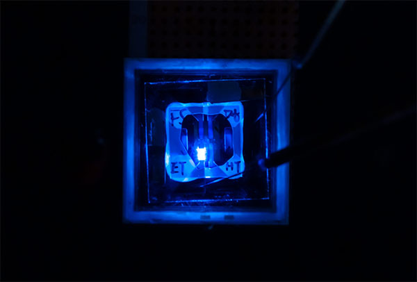 a PHOLED glows blue