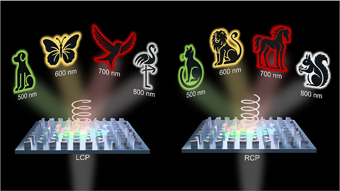 Schematic of a spin- and wavelength-multiplexed metahologram
