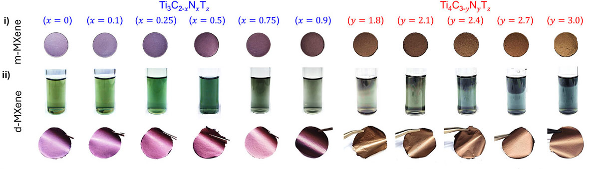 Effect of N substitution on the physical and electrical properties of XSS MXenes
