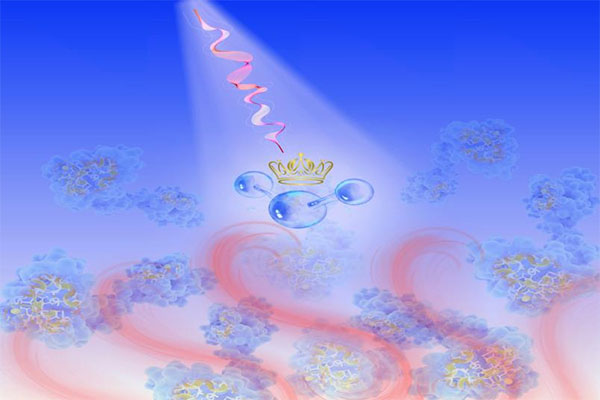 Terahertz (THz) calorimetry of water molecule