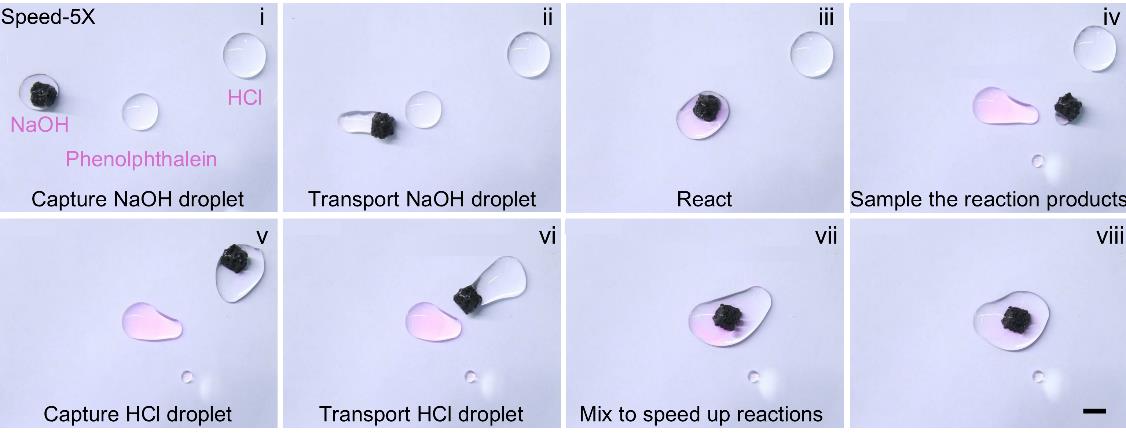 A magnetic microrobot pulls fluid droplets together, triggering a chemical reaction