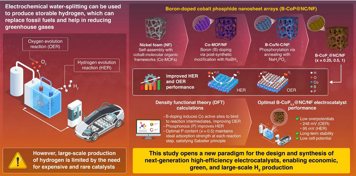 Proposed strategy for developing boron-doped cobalt phosphide nanosheets