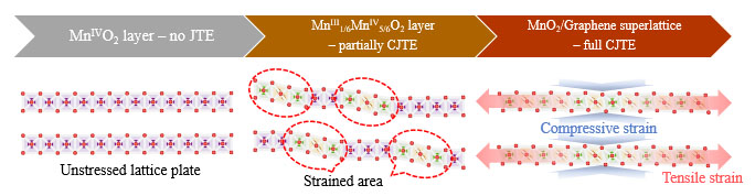 Schematic illustration depicting the distinct structural scenarios in layered MnO2