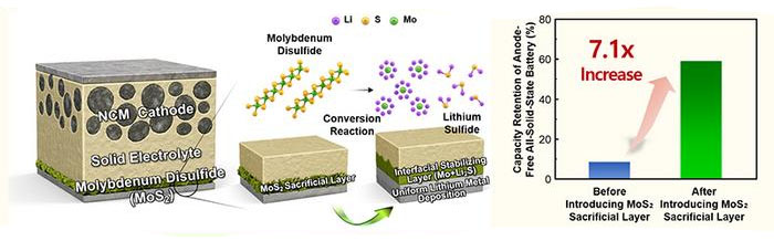 Enhancing the Performance and Stability of Next-Generation Anode-Free All-Solid-State Batteries Using 2D Molybdenum Disulfide Thin Films