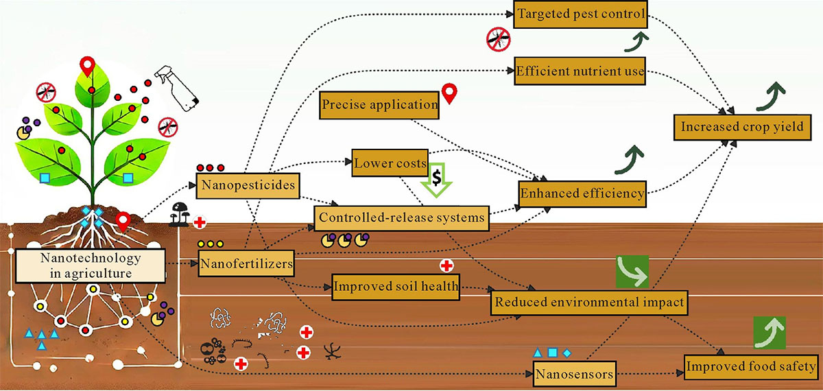 Schematic showing the use of nanotechnology for safe agriculture and food production.