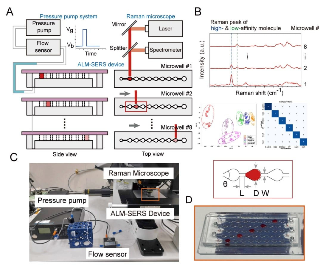 chematic and photo of the ALM-SERS system. This system can sequentially collect eight SERS spectra in a single sample droplet, which can be used to discriminate bacteria with subtle difference