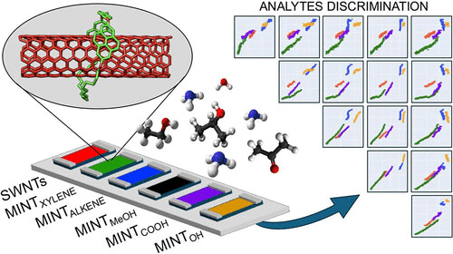 Gas sensor based on MINT-functionalised carbon nanotubes