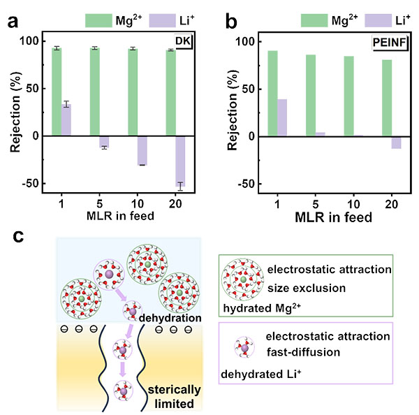 Preference of Negatively Charged Membranes in Magnesium and Lithium Separation by Nanofiltration