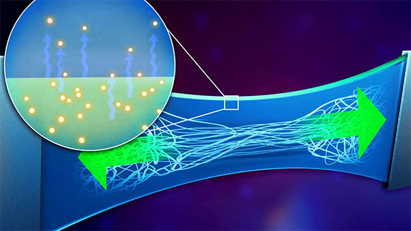 the targeted diffusion of plasticizers from the substrate into the polymer film significantly enhances both its conductivity as well as its deformability