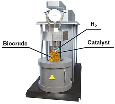 Illustration of the experimental setup to upgrade biocrude oil into sustainable aviation fuel using zeolite-supported iron-molybdenum carbide nanocatalysts