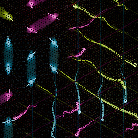 Simulations show that in some M-point moiré materials, electrons lock into crisscrossing patterns — a sign of one-dimensional behavior