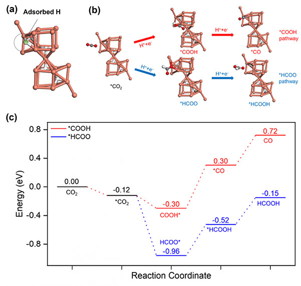 adsorption geometries of reactant, intermediate, and product at the active site of the Cu23 NC where two main pathways are involved