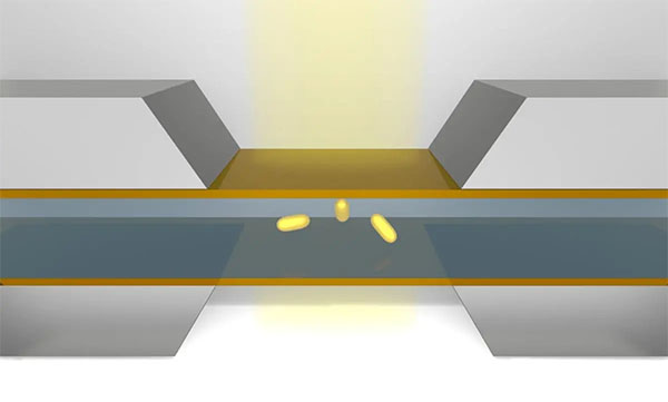 Schematic showing nanoparticles in the microfluidic chamber of liquid-phase transmission electron microscopy