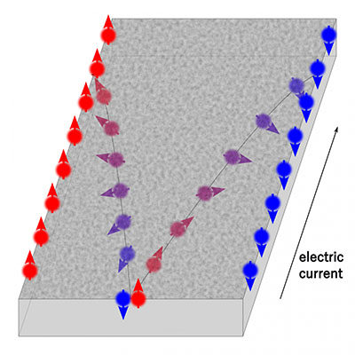 Spins accumulate at both edges of the sample owing to the spin Hall effect