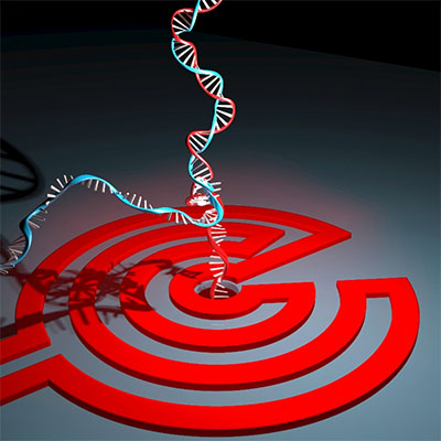 Schematic model depicting single molecule DNA denaturation by Joule heat generated at the coil-shaped nanoheater around a nanopore