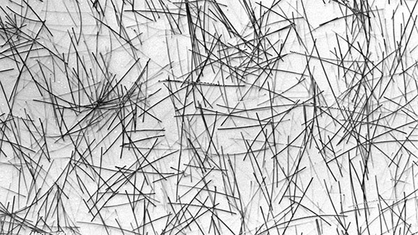 Scanning electron microscope image of nanowires showing pockets of transparency and overlapping nanowires for electron transport
