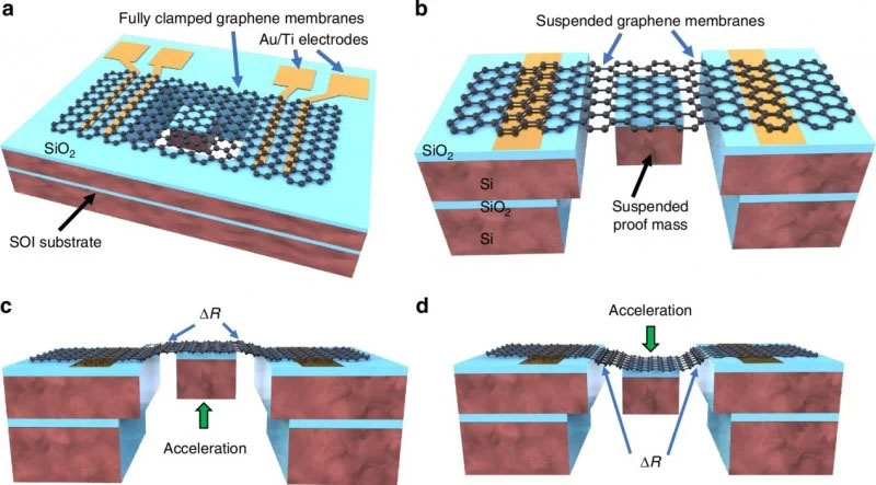 Schematic diagrams of graphene NEMS accelerometers