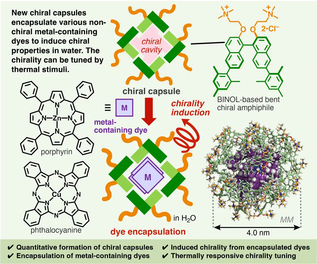 Chiral Aromatic Micelles as Chiroptical Host Tools for Large Metallodyes in Water