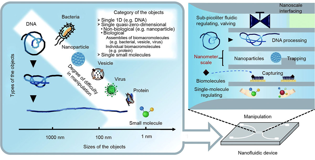 Schematic diagram illustrating the nanofluidic manipulation techniques for precise control, valving, interfacing, processing, as well as trapping and capturing of single nanometric objects
