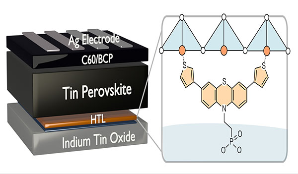 A self assembled monolayer of Phenothiazine enables the formation of perovskite films with good optoelectronic quality and minimises recombination losses