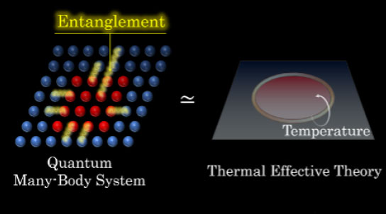 Looking a quantum entanglement in a quantum many-body system using thermal effective theory, which uncovers universal features of quantum entanglement