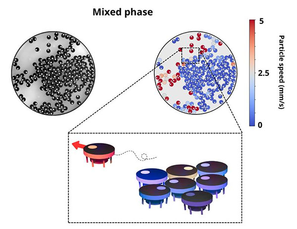 Self-sustained frictional cooling in active matter