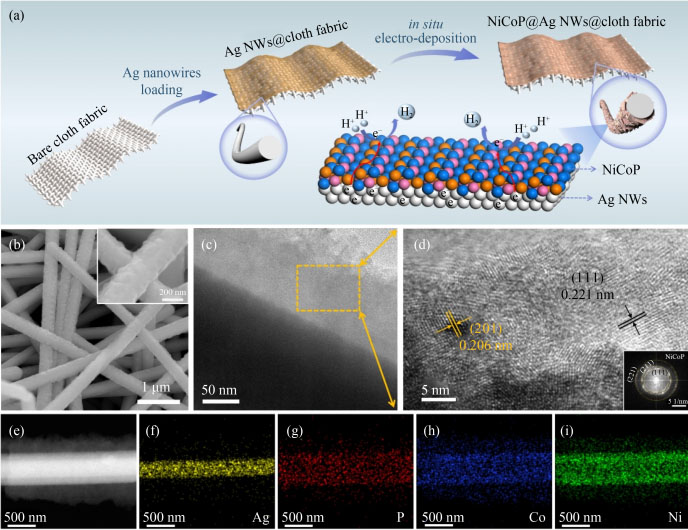 Structural characterization of the fabricated catalysts