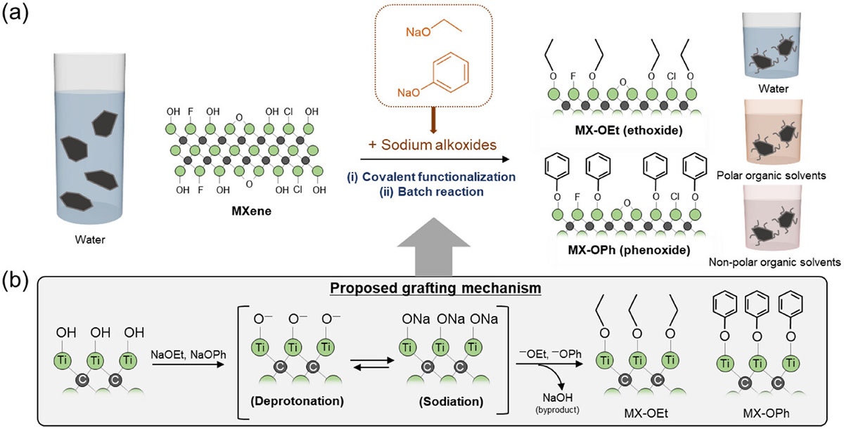 Schematic illustration for the covalent surface modification of Ti3C2Tx MXene with sodium alkoxides