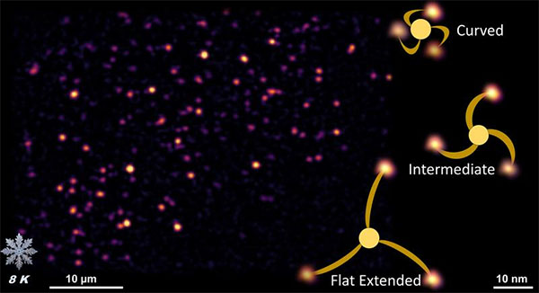 Fluorescent image of PIEZO1 in native cell membrane (left) and an artistic representation of its conformational states resolved with Ångström precision (right)