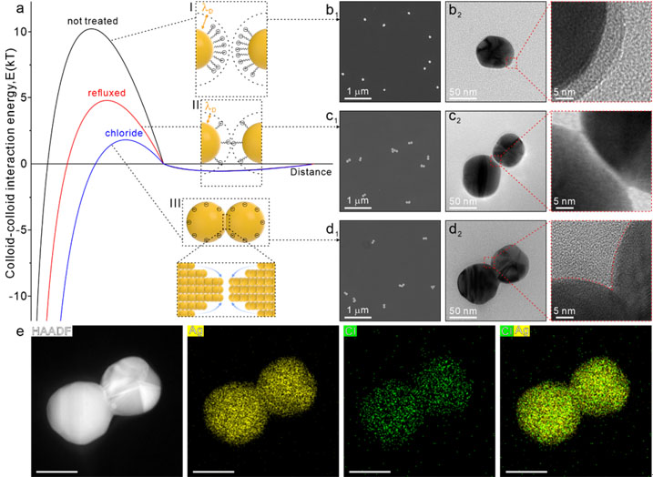 Ligand-mediated control of nanoparticle surface for particle assembly