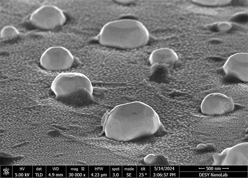 rhodium-coated platinum nanoparticles on a conductive substrate
