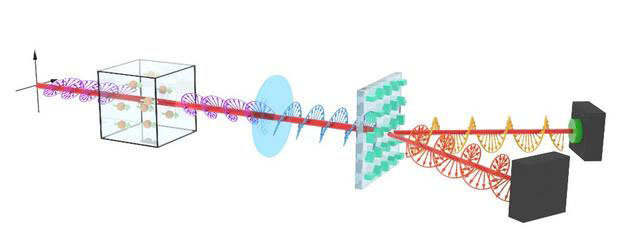 Phase-Gradient Metasurface Enables Atomic Spin Chirality Detection for Elliptically Polarized Laser-Pumped Atomic Magnetometer