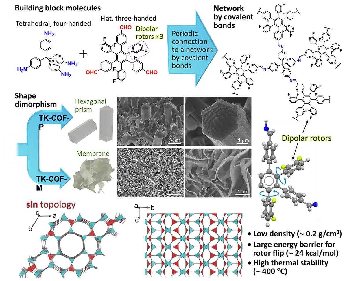 The building block molecules, network formation by covalent bonds, shape dimorphism, scanning electron microscope images, and sln topology of the COFs
