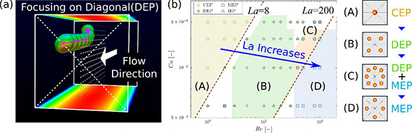 inertial migration of hydrogel particles suspended in square channel flows
